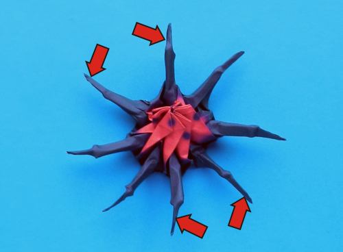 origami spider diagrams