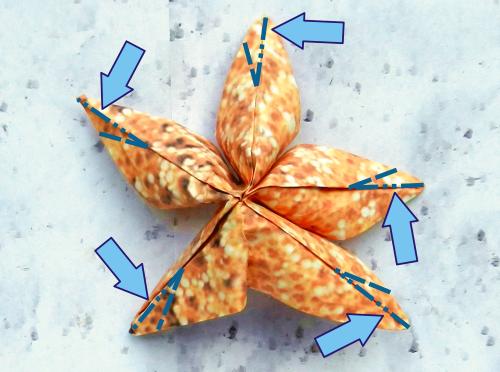 Fold an Origami Starfish