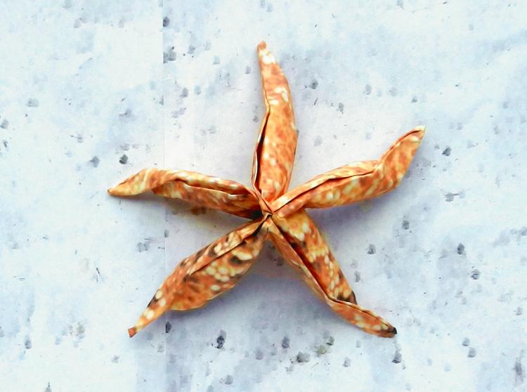 Origami Starfish