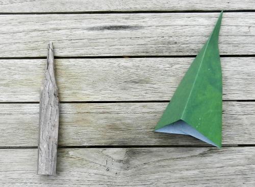 Origami boom vouwen