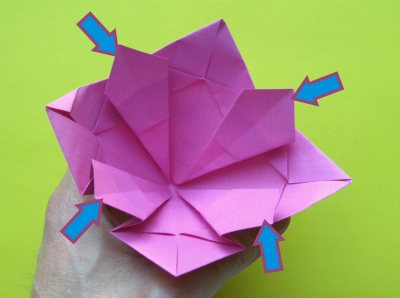 Fold an Origami Tulip