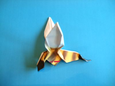 origami wasp