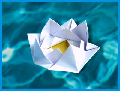 Origami Water Lily