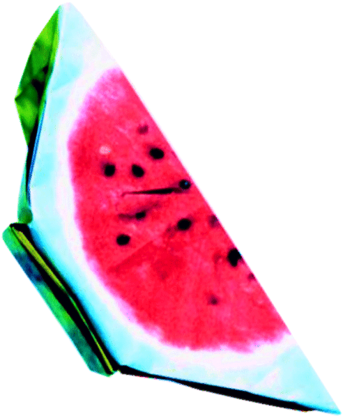 Watermeloen schijf