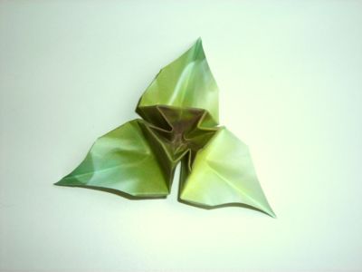 diagrammen voor een wit origami bloemetje