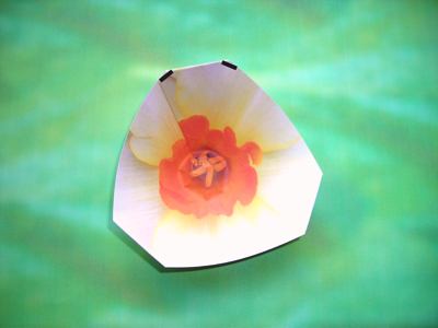 diagrammen voor een witte origami bloem