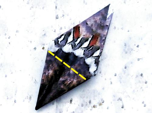 Fold an Origami Woodpecker