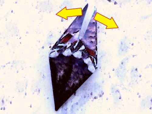 Fold an Origami Woodpecker