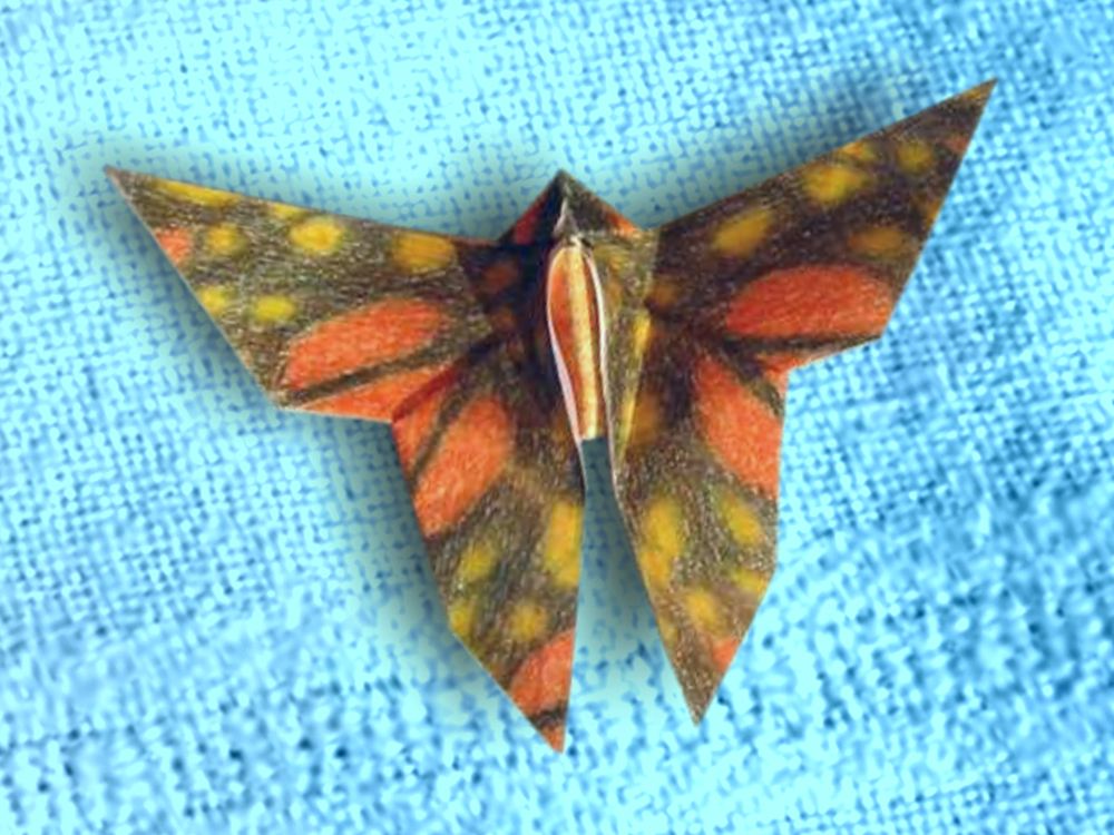 briefkaartje met een papierkunst vlinder