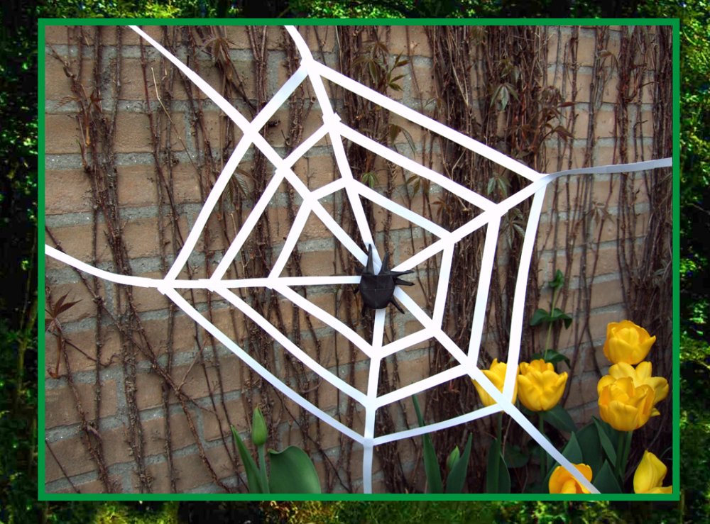 card with an origami spider in a large web