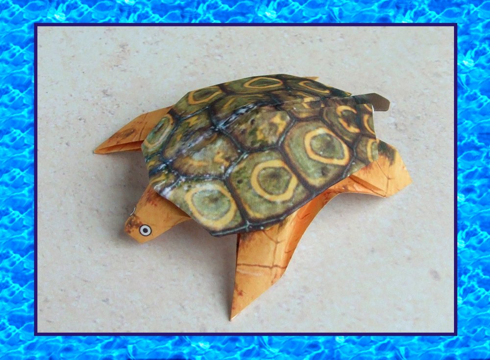 kaartje met een leuke schildpad op het strand