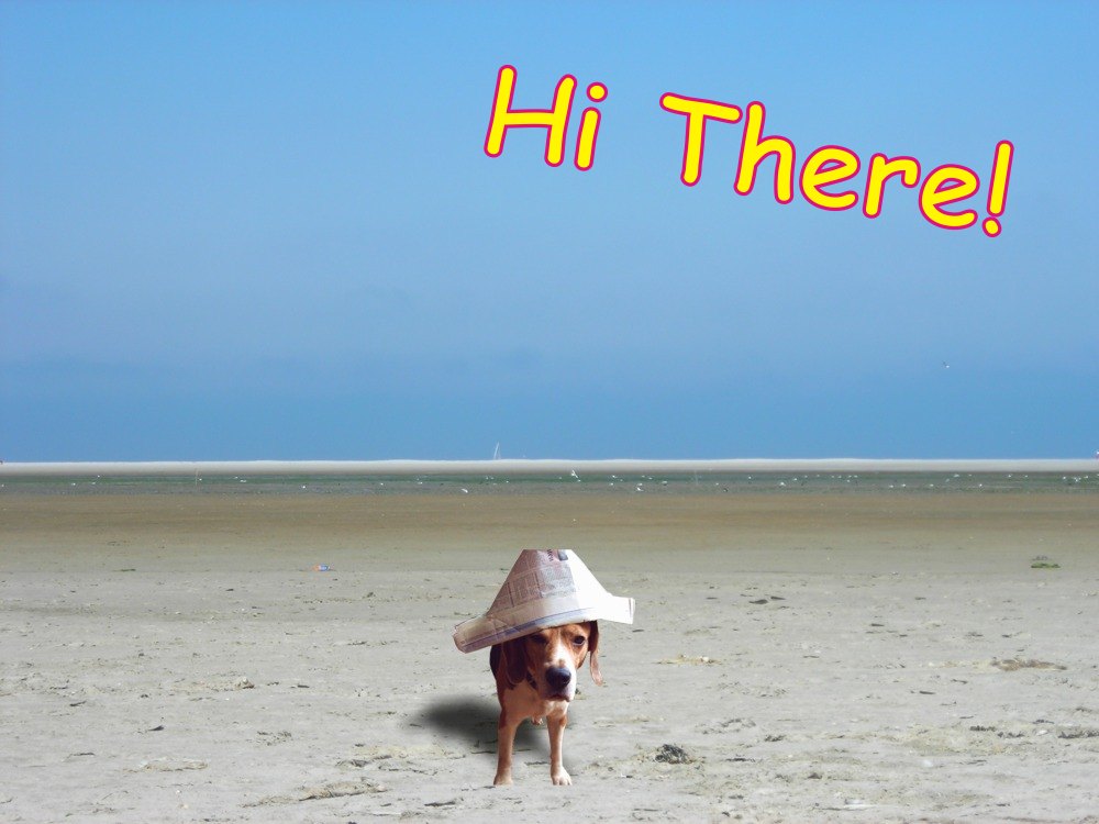 free card of a dog with a paper hat on the beach