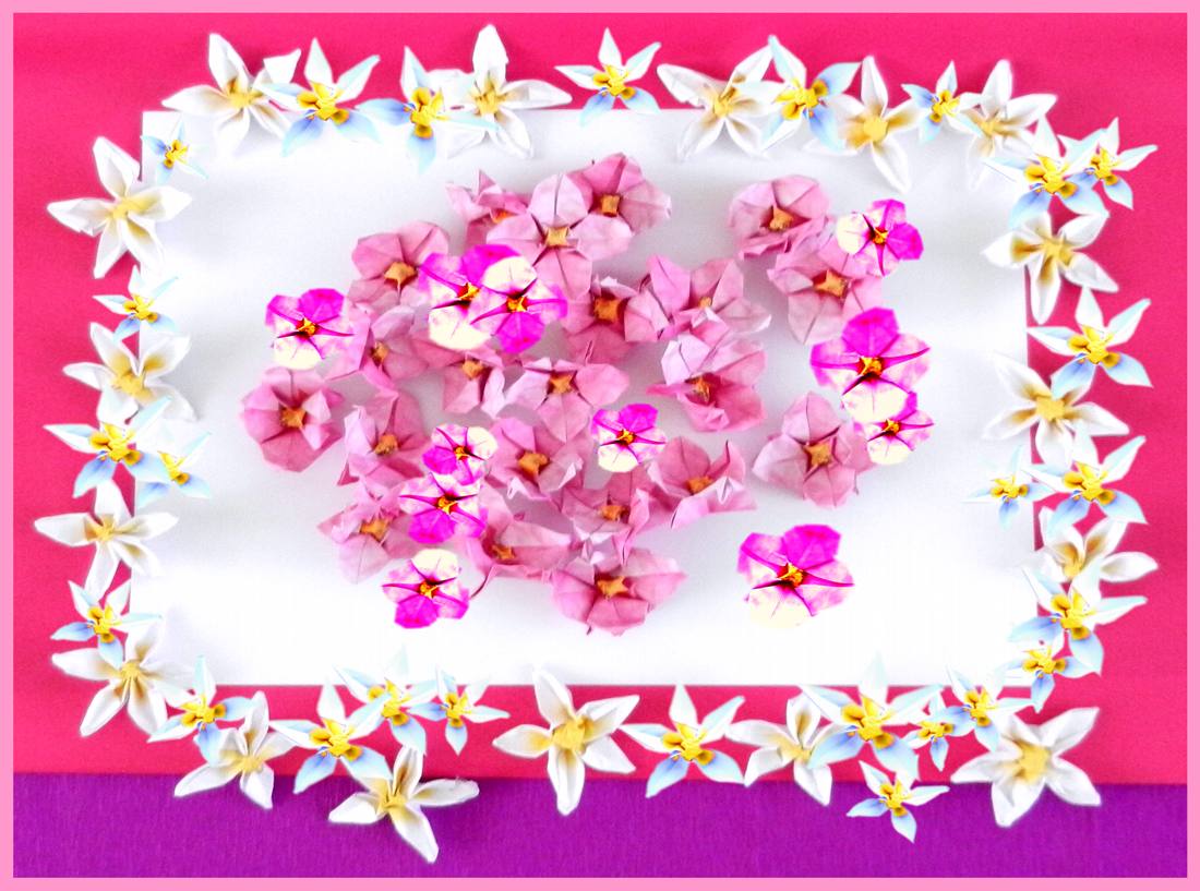 Kaartje met roze en witte bloemen