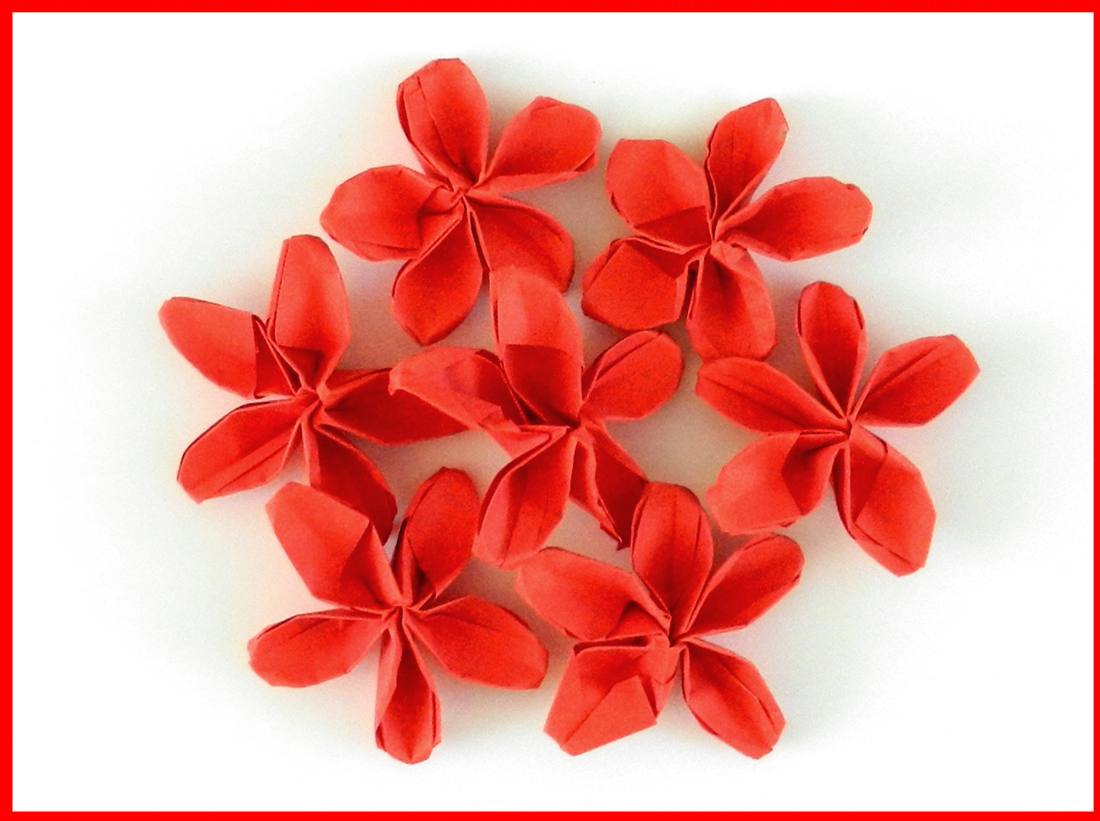 Card with red origami flowers