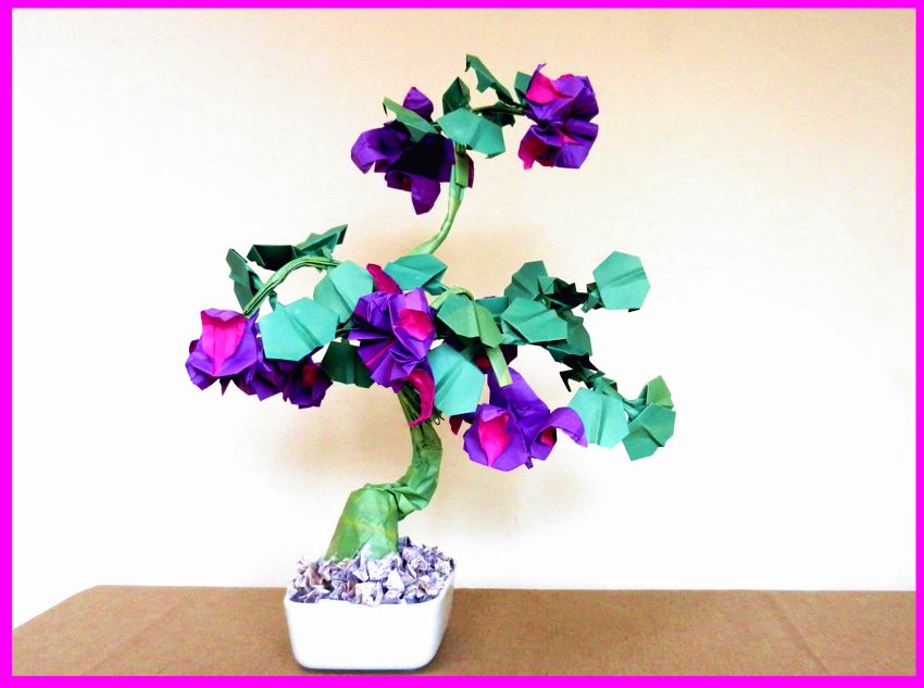 Bonsai Origami Fuchsia Bonsai Origami Fuchsia