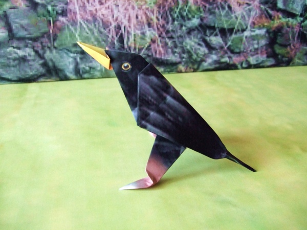 origami blackbird