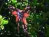 origami vlinder