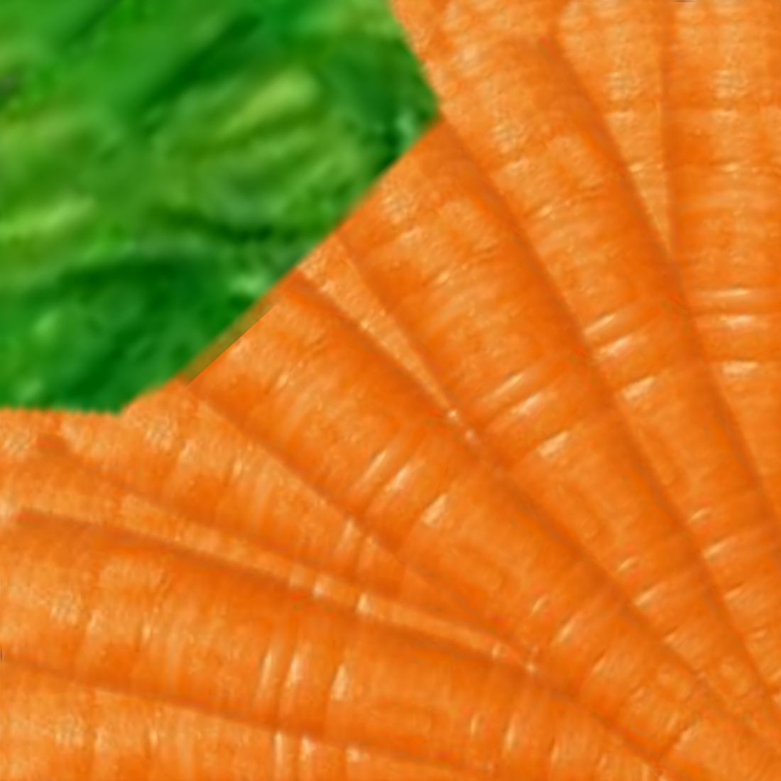 Origami paper for folding a fresh Carrot