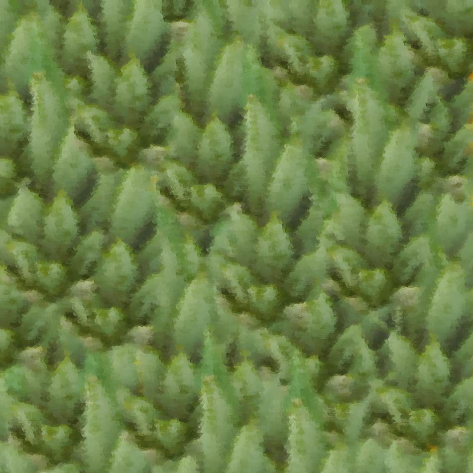 bladeren van ananas patroon