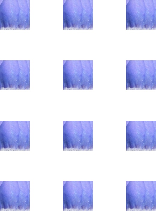 gekleurde motiefjes voor de bloemetjes van een blauw druifje