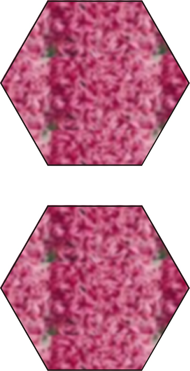 voorkant van motiefje van hyacint