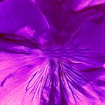 vouwpapier met print van een violet bloem erop