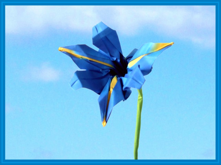 origami iris flower