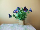gekleurde vouwblaadjes om een origami petunia te maken