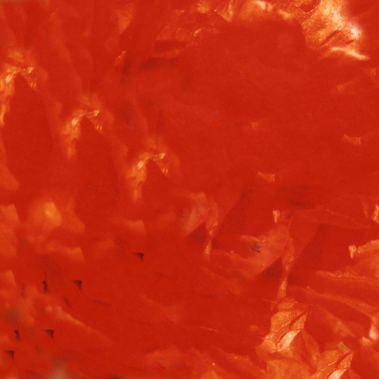 gekleurd patroon van een rode klaproos