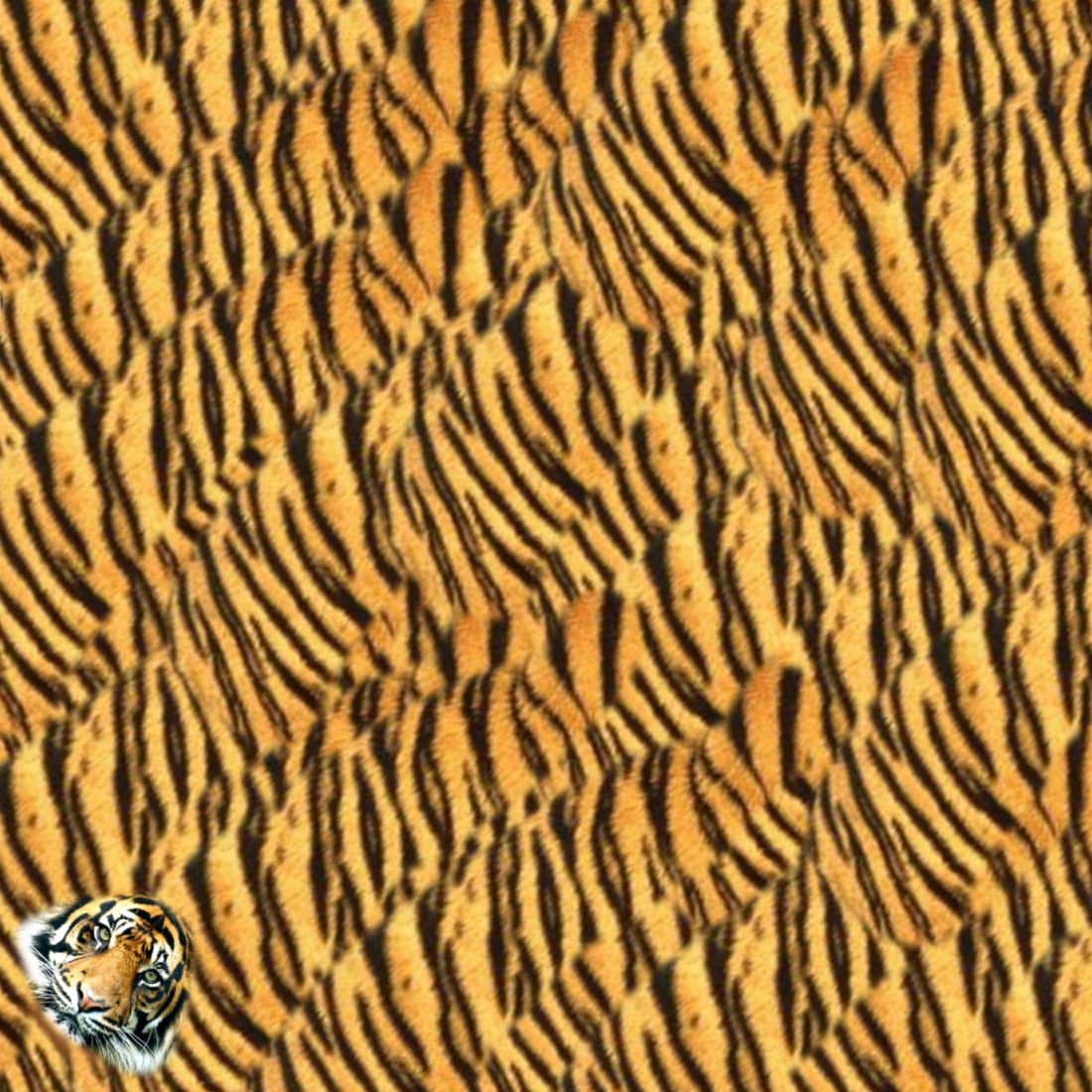 vouwblaadje voor een tijger