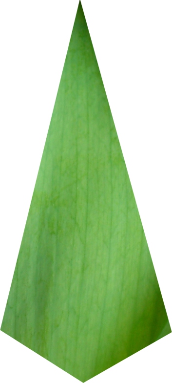 motiefje voor het blad van de tulp