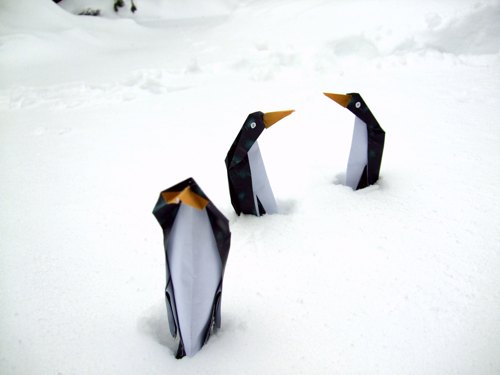 grappige pinguins die in de sneeuw staan te bibberen van de kou