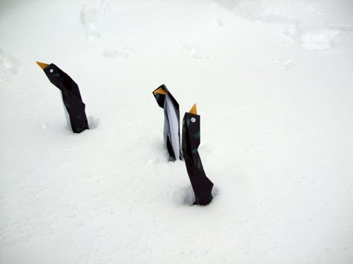 grappige pinguins die in de sneeuw staan te bibberen van de kou