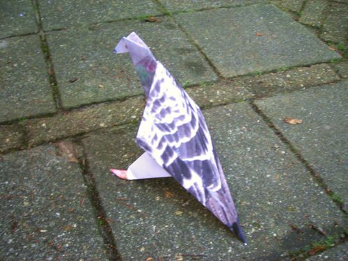 Virtual Pigeon