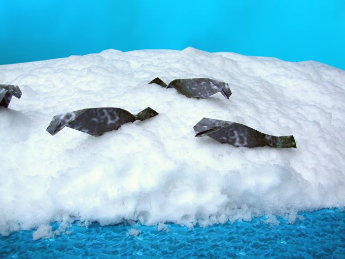 origami seals placed on real snow