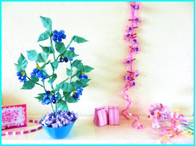Origami Blueberry plant