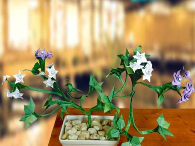 Bonsai Origami plant with tiny flowers