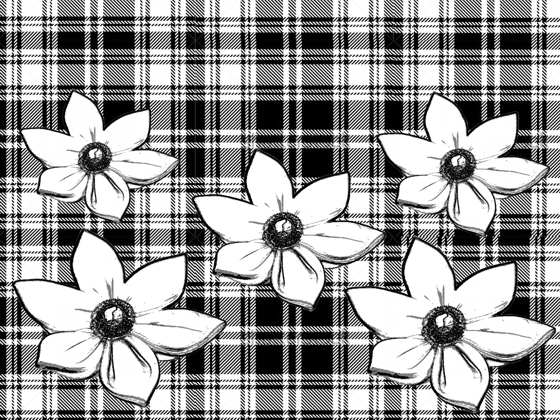 Brooches on a plaid background