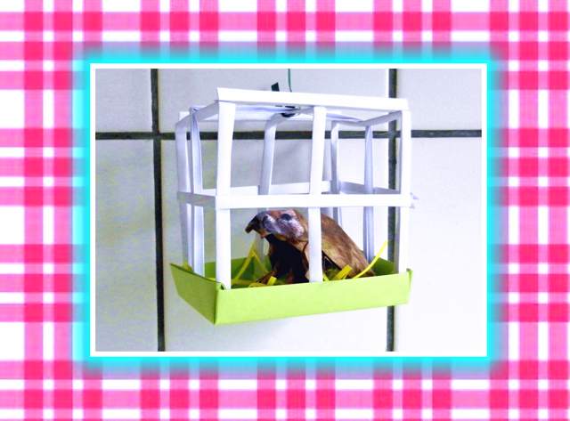 Paper mini pet cage