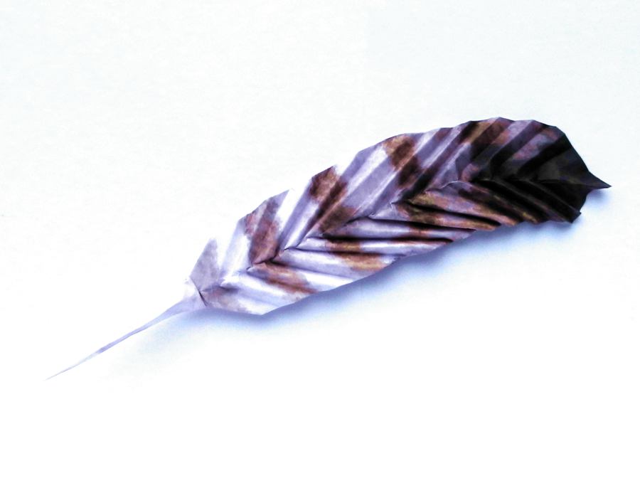 Origami Feather