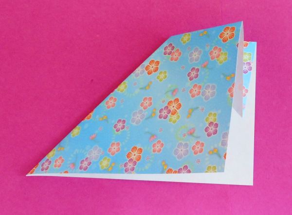Origami inside reverse fold