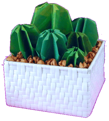 Origami cactus