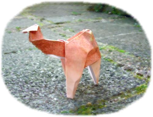 Origami Camel