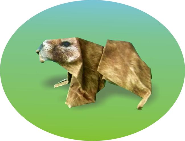 Marmot