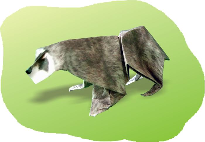 Origami Raccoon