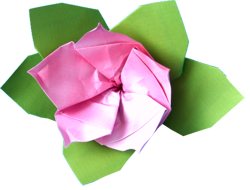 Origami Azalea