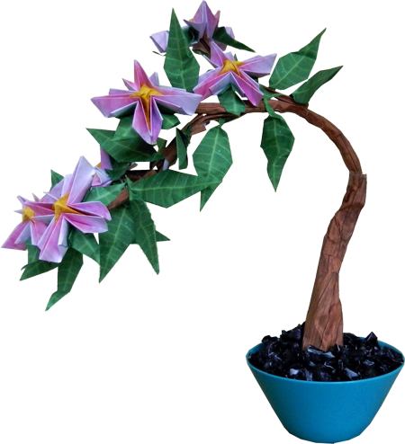 Bonsai Origami Clematis