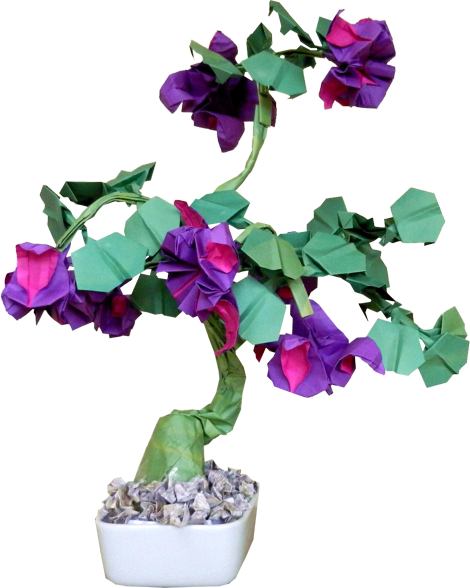 Bonsai Origami Fuchsia