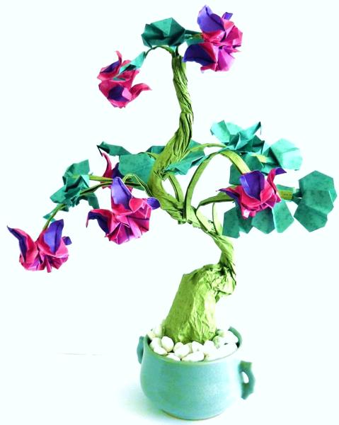 Bonsai Origami Fuchsia