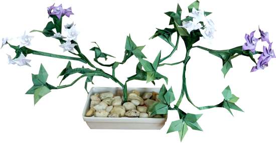 Bonsai Plant met kleine bloemetjes
